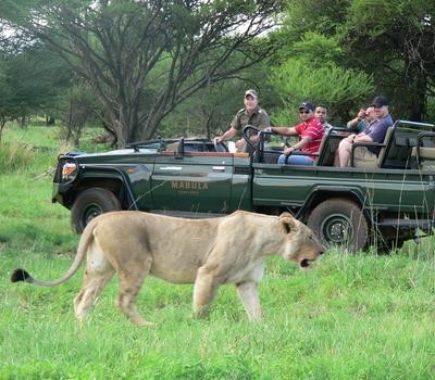Game Drive