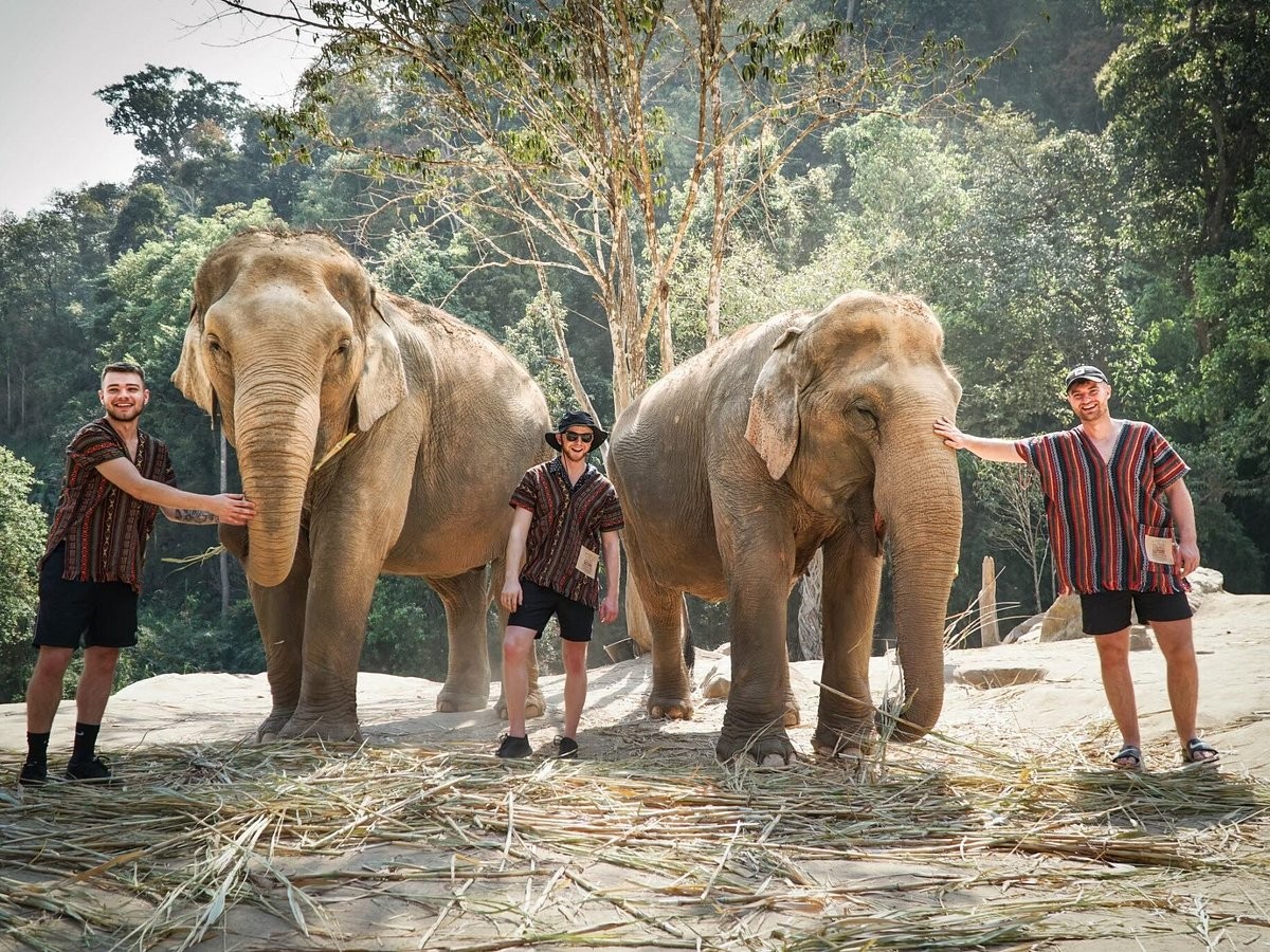 Elephant Jungle Sanctuary